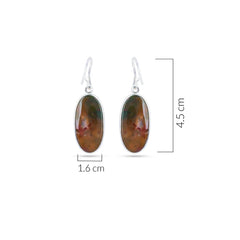 Brown Spark Earrings