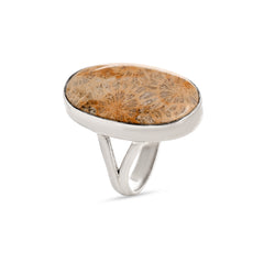 Fossil Coral Ring