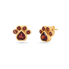 Garnet Stone Silver Earrings