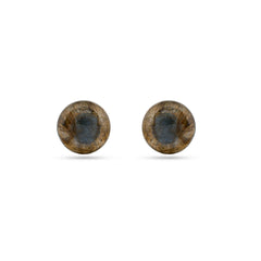 Mystic Silver Stud Earrings