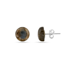 Mystic Silver Stud Earrings