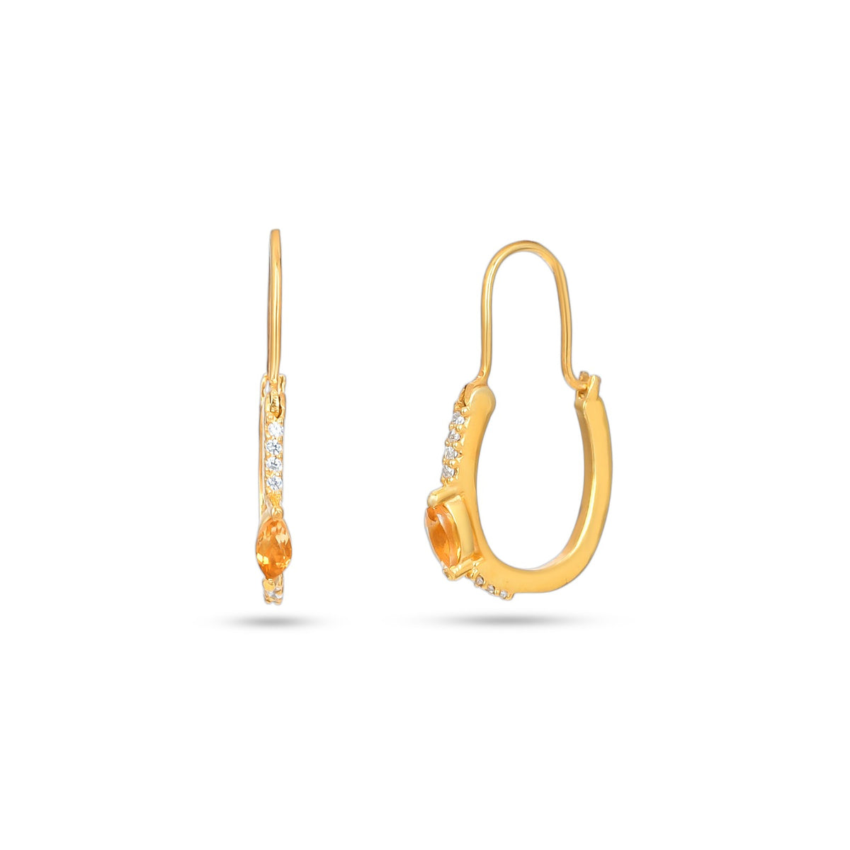 Golden Hoop Earrings