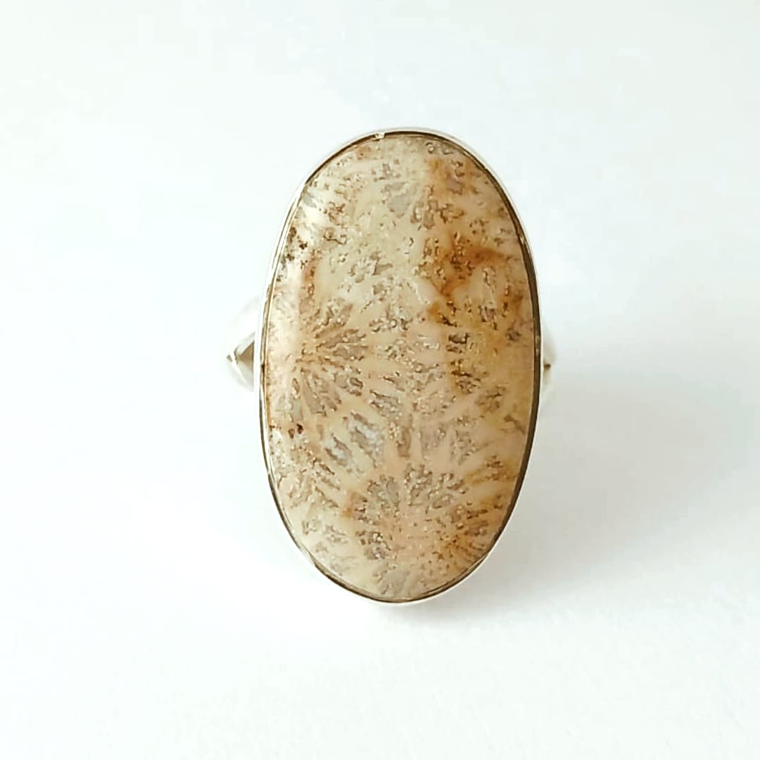 Oval Beige Fossil Coral Silver Ring